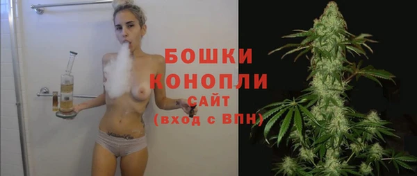 альфа пвп Гусиноозёрск