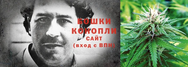 альфа пвп Гусиноозёрск