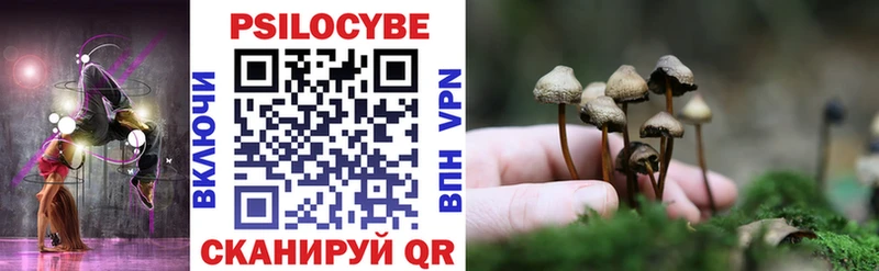 OMG зеркало  Дигора  Псилоцибиновые грибы мицелий 